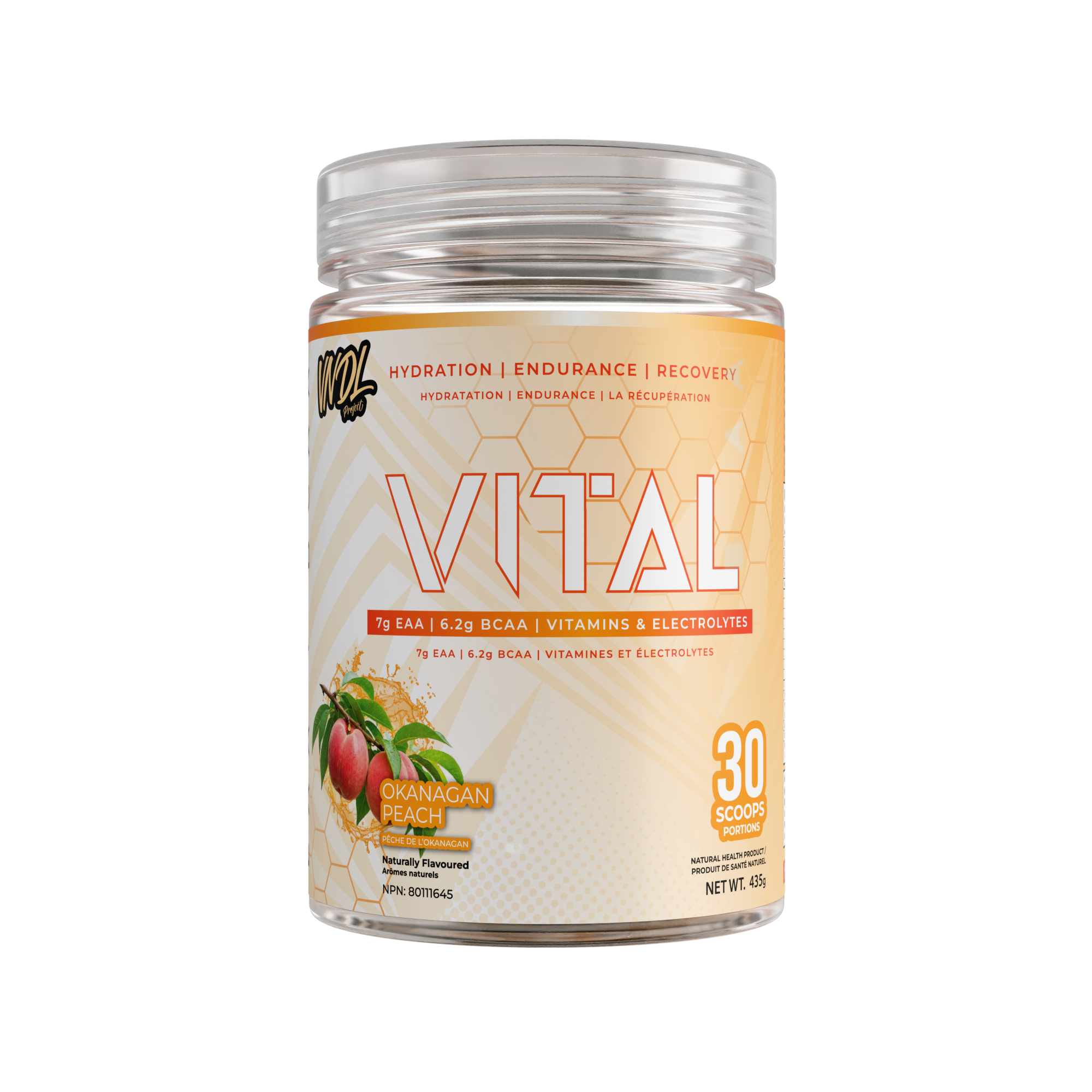 VITAL - SMARTER RECOVERY
