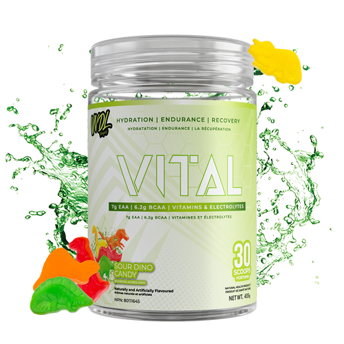 VITAL - RÉCUPÉRATION INTELLIGENTE
