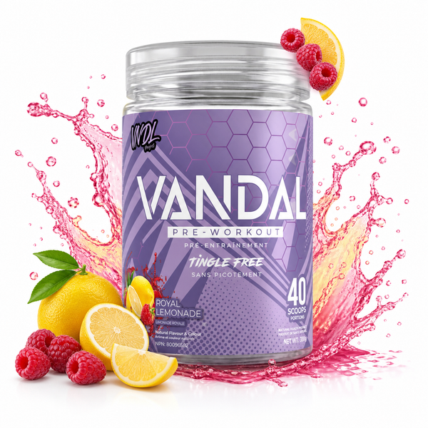 VANDAL - PRÉ-ENTRAÎNEMENT