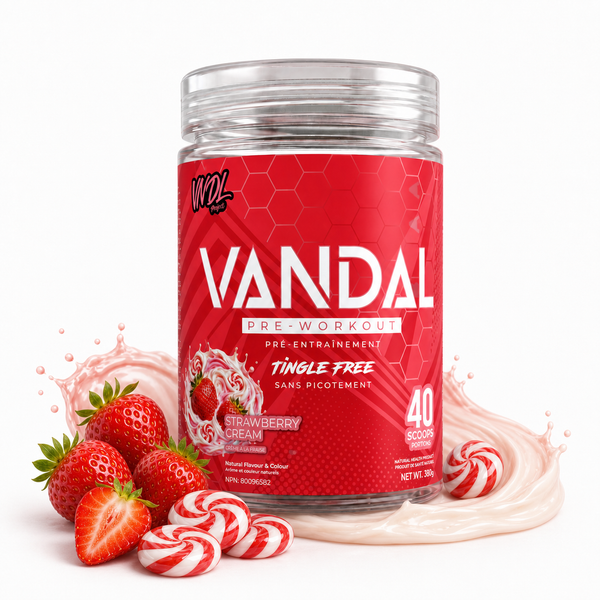 VANDAL - PRÉ-ENTRAÎNEMENT