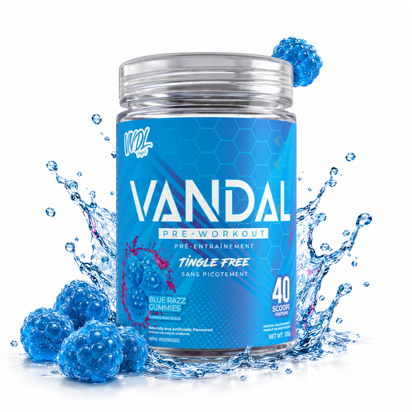 VANDAL - PRÉ-ENTRAÎNEMENT
