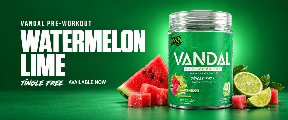 VANDAL Pre-Workout in Watermelon Lime, tingle free