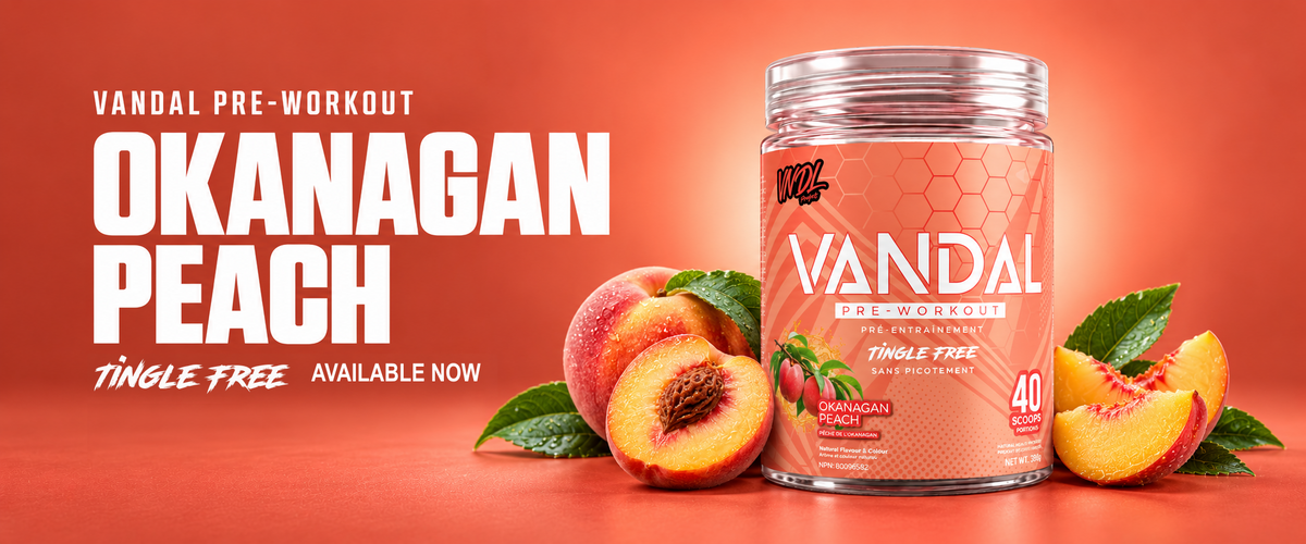 VANDAL Pre-Workout in Okanagan Peach, tingle free