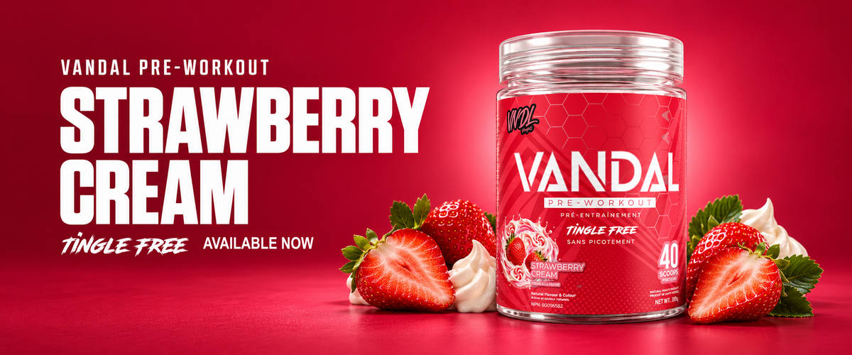VANDAL Pre-Workout in Strawberry Cream, tingle free