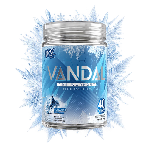 VANDAL Pre-Workout in Blizzard