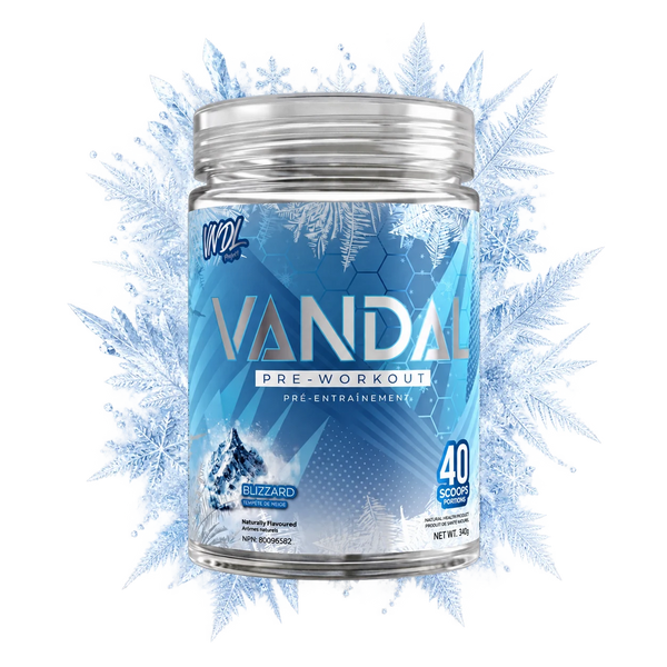VANDAL - PRÉ-ENTRAÎNEMENT
