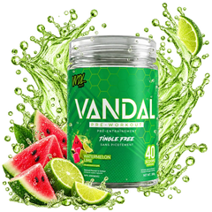 VANDAL Pre-Workout in Watermelon Lime