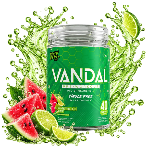 VANDAL - PRÉ-ENTRAÎNEMENT