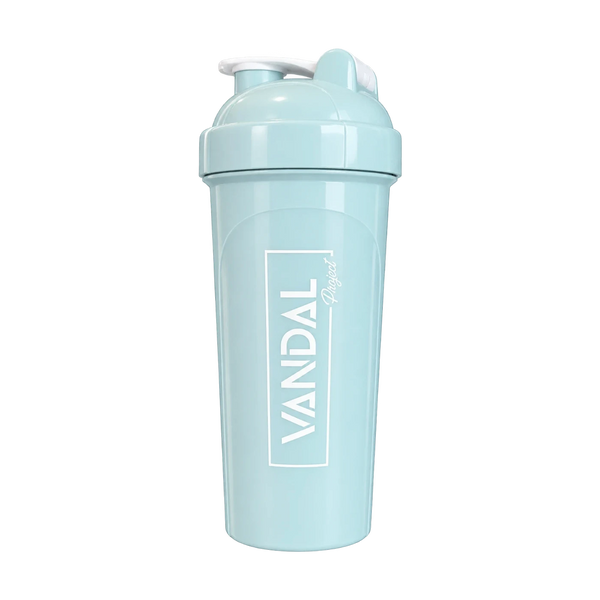 VNDL PROJECT – SHAKER QUI SE DÉMARQUE